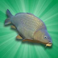 Cover Image of Carp Fishing Simulator 1.9.8.3 Apk + Data for Android
